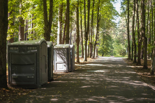 Best Luxury portable toilet rental  in Ramsey, MN